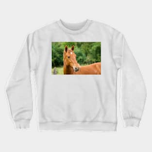 12515 fancy Crewneck Sweatshirt